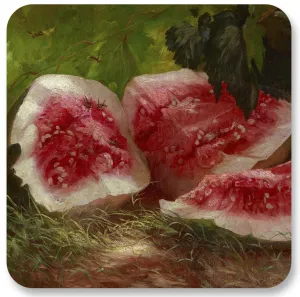 Watermelon and Yellowjackets Coaster